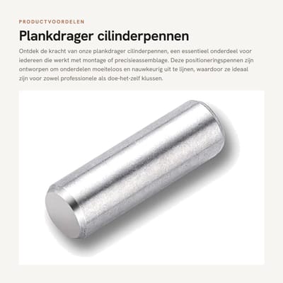 Dailygoods- Plankdrager Roestvrij Staal - Cilinderpen - Positioneringspen - Montage - 5 Stuks - Duurzaam en Corrosiebestendig