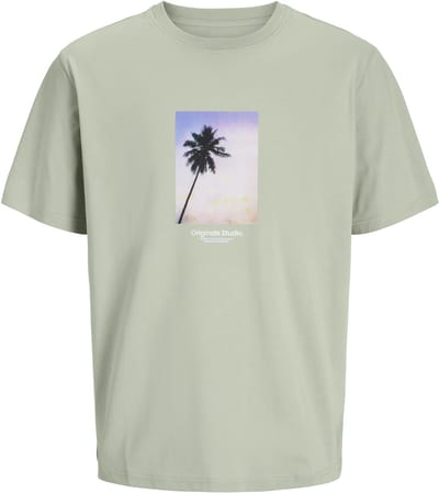 JACK&JONES - JWHVESTERBRO PICTURE TEE SS CREW NECK SN - Heren - T-shirts