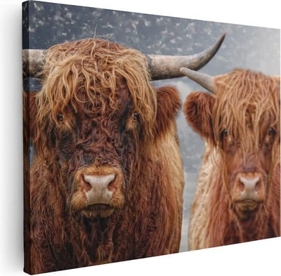 Artaza Canvas Schilderij Hooglander - 40x30 cm - Klein - Muurdecoratie Woonkamer - Wanddecoratie Gewei - Kamer Accessoires
