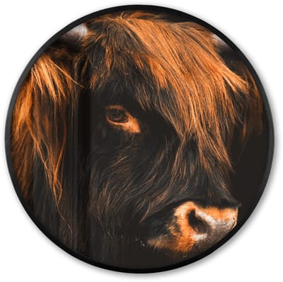 Poster in lijst Rond - Fotolijst 60x60 cm - Posters - Schotse hooglander - Zwart - Koe - Hoorn - Dieren - Ronde posterlijst zwart - Decoratie - Wanddecoratie woonkamer - Muurdecoratie slaapkamer
