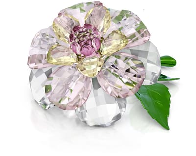 Swarovski Florere Camellia 5721538