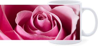 Beker - Close up - Roze Roos