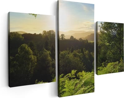 Artaza Canvas Schilderij Drieluik Zonsondergang Vanuit Een Bos - 90x60 - Foto Op Canvas - Canvas Print