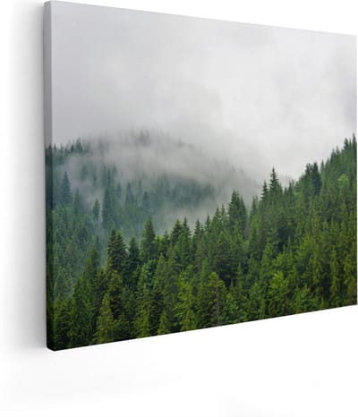 Artaza Canvas Schilderij Bos - 100x80 cm - Groot - Wanddecoratie Bergen - Muurdecoratie Mist - Schilderijen Op Canvas Natuur