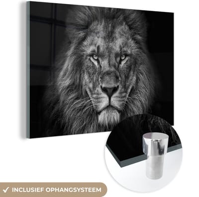 Glasschilderij leeuw - Zwart - Wit - Dieren - Foto op glas - Wanddecoratie glas - 150x100 cm - Woondecoratie - Schilderij glas - Muurdecoratie woonkamer - Glasplaat