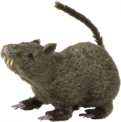 Halloween decoratie rat - bruin - 21 cm - horror/kerkhof - harig - horror themafeest