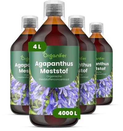 Vloeibare Meststof Voor Agapanthus - 4X1 L Voor 4000 L - Npk 2-1-8 - Voor Levendige Bloemschermen - Knopvorming - Rechtopstaande Bloemstelen - Kkrachtige Wortelontwikkeling - Hittebestendig - Bodemleven - Organifer