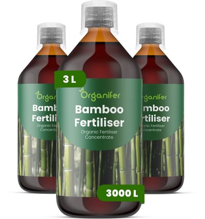 Vloeibare Meststof Voor Bamboe 3X1 L Voor 3000 L - Npk 3-4-3 - Bamboescheuten - Rechtopgaande Groei - Halmdikte - Stevige Halme - Wortel - En Rizoomactiviteit - Polvorming - Weelderig Blad - Windbestendig - Levendige Bladkleur - Organifer