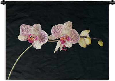Wandkleed - Wanddoek - Orchidee - Bloemen - Zwart - Roze - Knoppen - 120x90 cm - Wandtapijt