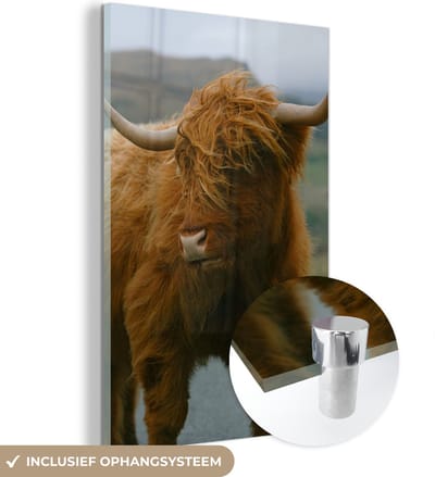 MuchoWow® Glasschilderij 120x180 cm - Schilderij acrylglas - Schotse Hooglander - Berg - Weg - Foto op glas - Schilderijen