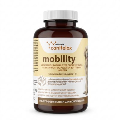 Canifelox Mobility 240g – Heup & Gewrichten Supplement voor Honden – Met Glucosamine, Chondroïtine & MSM – Ondersteunt Kraakbeen, Pezen & Botten – Ideale Calcium-Fosfor Verhouding