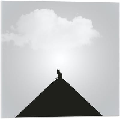 Acrylglas - Silhouette Kat op Piramide - 50x50cm Foto op Acrylglas (Met Ophangsysteem)