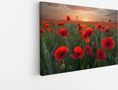 Saammp Canvas Schilderij - Klaprozenveld- Natuur - 45x30 - Foto op canvas - Wanddecoratie - Muurdecoratie Woonkamer - Slaapkamer decoratie - Canvas Print