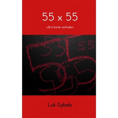 55 X 55 - Luk Gybels