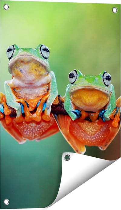 Gards Tuinposter Twee Boomkikkers op een Tak - 40x60 cm - Tuindoek - Tuindecoratie - Wanddecoratie buiten - Tuinschilderij