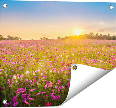 Gards Tuinposter Bloemenveld met Roze Kosmos - 50x40 cm - Tuindoek - Tuindecoratie - Wanddecoratie buiten - Tuinschilderij