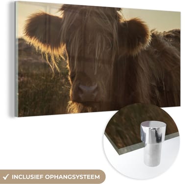 MuchoWow® Glasschilderij 40x20 cm - Schilderij acrylglas - Schotse Hooglander - Zonsondergang - Gras - Foto op glas - Schilderijen