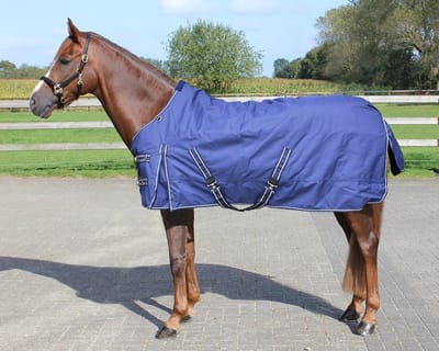 Regendeken luxe 200 gram Navie paardendeken-145