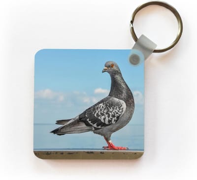 Sleutelhanger - Uitdeelcadeautjes - Duif - Blauw - Lucht - Plastic