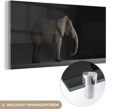 MuchoWow® Glasschilderij 40x20 cm - Schilderij acrylglas - Olifant - Dieren - Licht - Foto op glas - Schilderijen