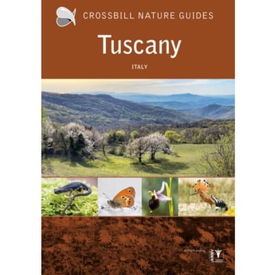 Crossbill Guide Tuscany - Crossbill Guides - Graham Chisholm