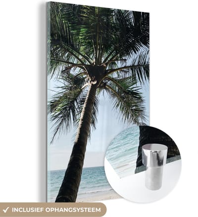 MuchoWow® Glasschilderij 120x180 cm - Schilderij acrylglas - Palmboom - Lucht - Tuinposter - Tuin - Decoratie tuin - Foto op glas - Schilderijen
