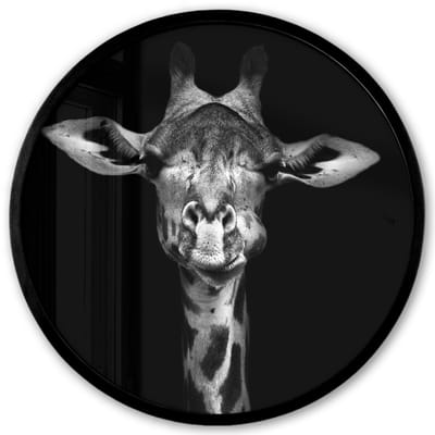 Poster in lijst Rond - Fotolijst 40x40 cm - Posters - Giraffe - Portret - Dieren - Zwart - Wit - Ronde posterlijst zwart - Decoratie - Wanddecoratie woonkamer - Muurdecoratie slaapkamer