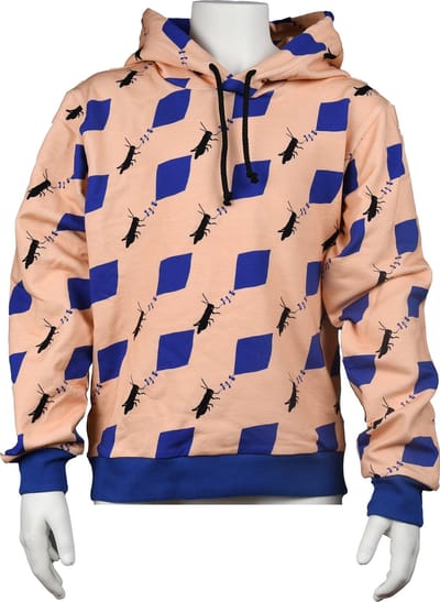 Hoodie Grashopper with Kite, Louise Le Loup - kids Sweat French Terry - Unisex
