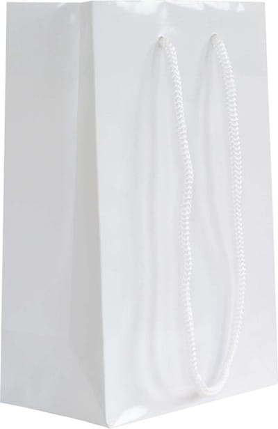 10x cadeautasjes Wit Extra klein - 14x8x21,5cm