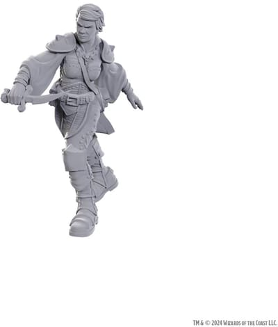 D&D Nolzur's Marvelous Miniatures Swashbuckler