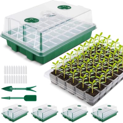 Famanu – Kamerbroeikas - kweekbak - verdikt - XL - kweekset - 38 x 24 x 12 cm - mini-broeikas - kweekset met deksel en ventilatie voor zaden en zaailingen - 4 stuks - 160 plantengaten - groen