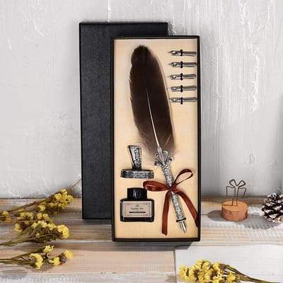Verenpen Dip Pen Schrijfinkt Set School Kantoor Bruiloft Briefpapier Cadeau grijs