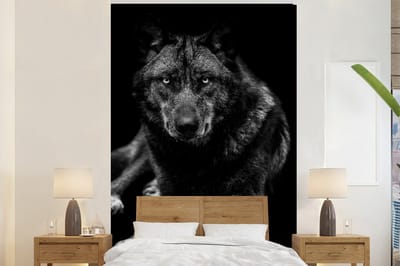 Behang - Fotobehang Dieren - Wolf - Zwart - Wit - Portret - Breedte 155 cm x hoogte 240 cm