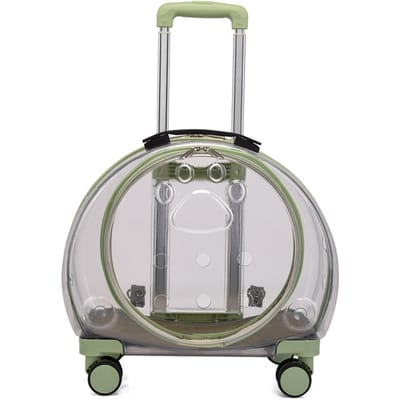 Sac à dos à bulles pour animaux de compagnie, résistant à l'usure, Portable, respirant, boîtier de chariot pour petits animaux, chatons, chiens A vert