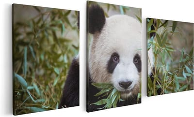 Artaza Canvas Schilderij Drieluik Panda Eet Planten - 120x60 - Foto Op Canvas - Canvas Print