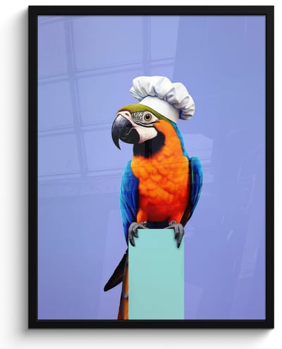 Fotolijst inclusief poster - Posterlijst 50x70 cm - Posters - Papegaai - Koksmuts - Vogel - Leuk - Foto in lijst - Keuken decoratie muur - Wanddecoratie accessoires - Muurdecoratie - Schilderijen