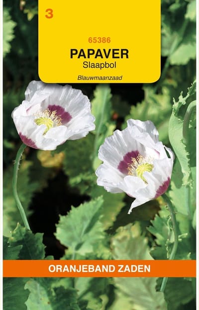 Oranjebandzaden -  Papaver, Slaapbol Blauwmaanzaad