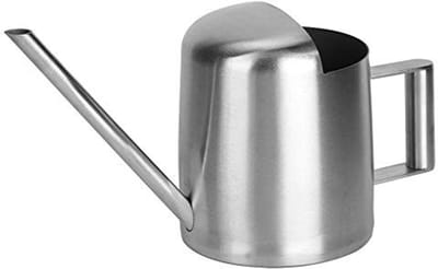 Dailygoods- Gieter 300 Ml - Roestvrij Staal - Ergonomisch Ontwerp - Nauwkeurige Bediening - Multifunctioneel - Ideaal voor Vetplanten - Plantenbewateringscan
