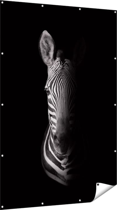 Gards Tuinposter Halve Zebra - Zwart Wit - 120x180 cm - Tuindoek - Tuindecoratie - Wanddecoratie buiten - Tuinschilderij