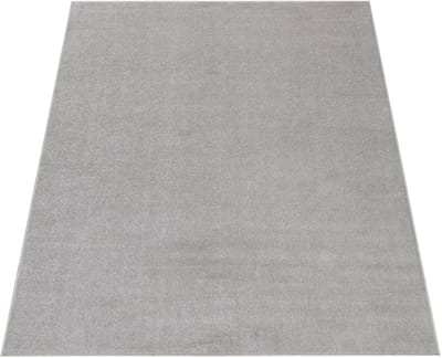 Monochromatisch tapijt - eenvoudige elegantie - zacht en duurzaam - Easy Care - veelzijdige stijl