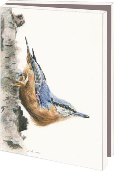 Kaartenmapje met env, klein: Birds, Nicole Boerema