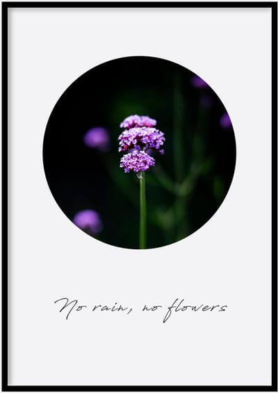 Poster Flowers - 30x40cm met Fotolijst – Quote Poster – Ingelijst