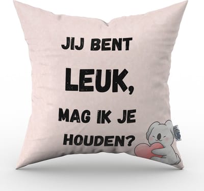 Valentijn kussen Jij bent leuk, mag ik je houden? - 30 cm