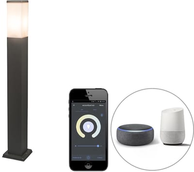 QAZQA malios - Moderne Dimbare LED Smart Staande Buitenlamp | Staande Lamp voor buiten incl. wifi met Dimmer - 1 lichts - H 80 cm - Donkergrijs - Buitenverlichting