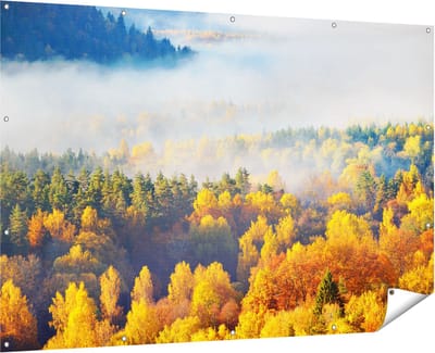 Gards Tuinposter Gekleurde Herfstbos met Mist - 180x120 cm - Tuindoek - Tuindecoratie - Wanddecoratie buiten - Tuinschilderij