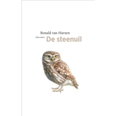 De Steenuil - De Vogelserie - Ronald van Harxen