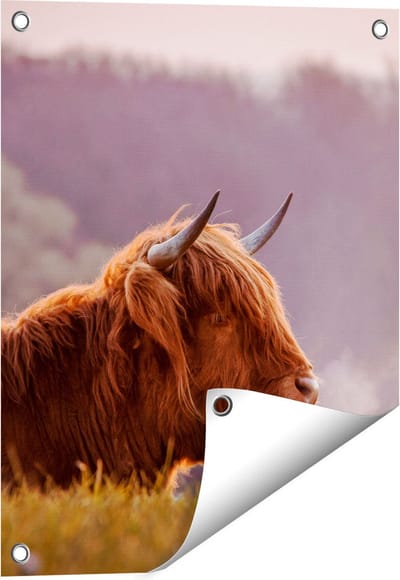 Gards Tuinposter Schotse Hooglander Koe Ligt in het Gras - 40x50 cm - Tuindoek - Tuindecoratie - Wanddecoratie buiten - Tuinschilderij