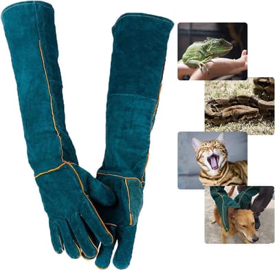 MDUG Dierspecifieke bijtbestendige beschermings-/operatiehandschoenen - groen - 60 cm - veiligheidshandschoenen van leer - geschikt voor het wassen, verzorgen en hanteren van honden, katten, vogels, slangen, hagedissen en reptielen