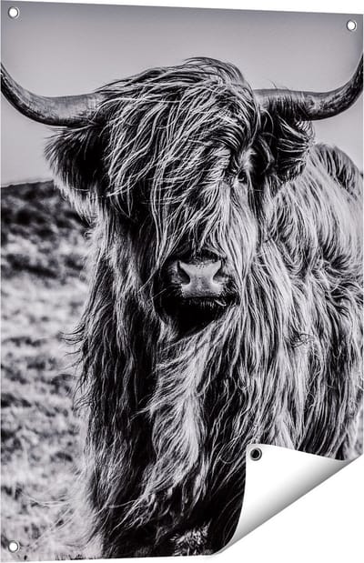 Gards Tuinposter Schotse Hooglander Koe - Zwart Wit - 60x80 cm - Tuindoek - Tuindecoratie - Wanddecoratie buiten - Tuinschilderij