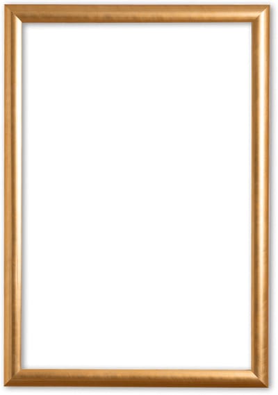 Klassieke Lijst A1 Goud - Ava